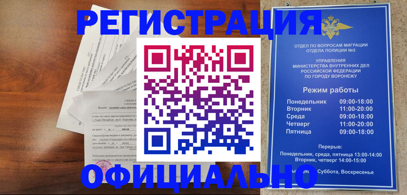 прописка поиск в Новозыбкове